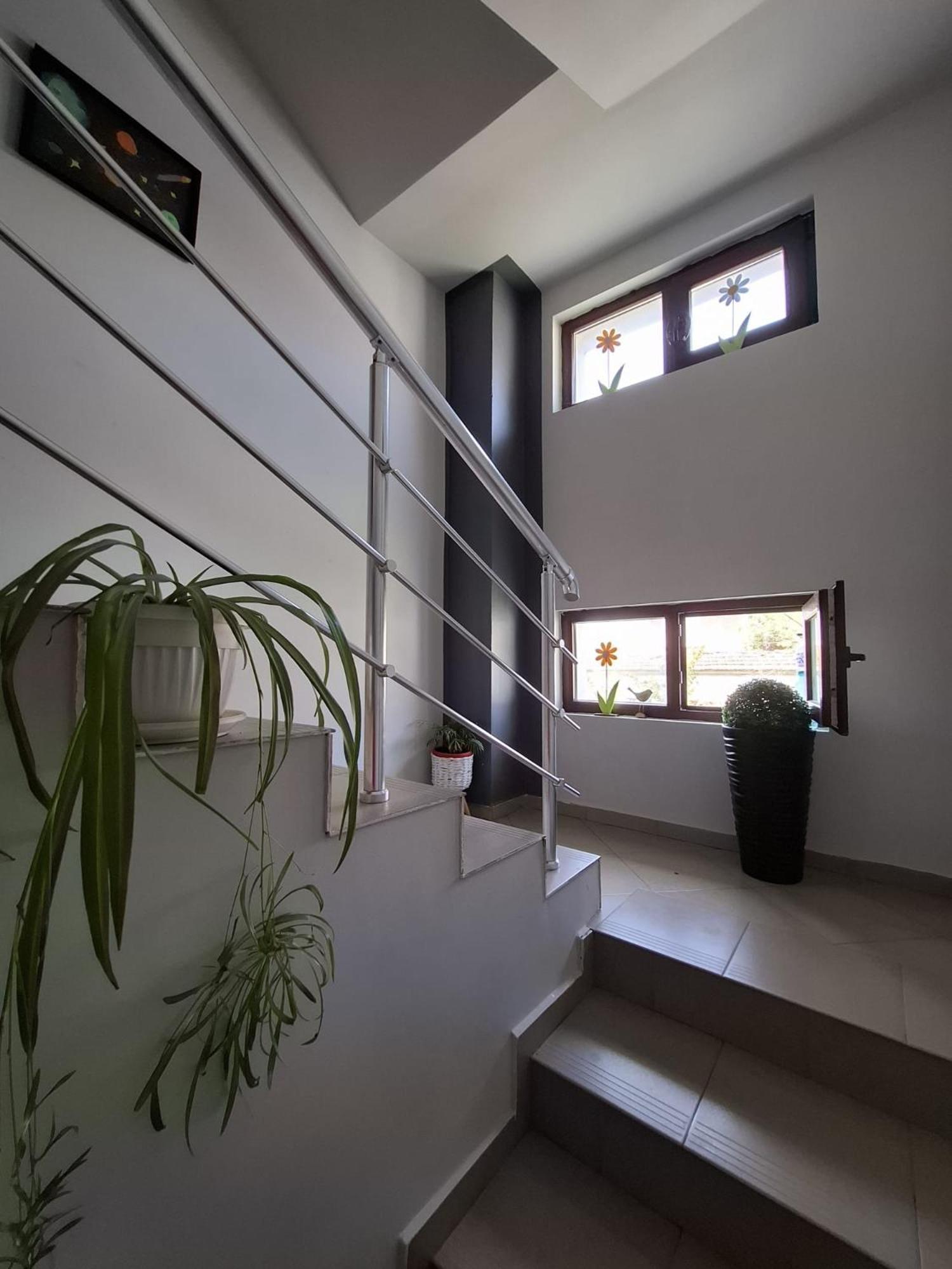 Guest Rooms Simona 2 Opanets المظهر الخارجي الصورة